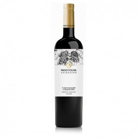 Selección 2018 Magnum (1ud)