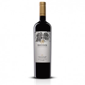 Selección 2019 Magnum (1ud)