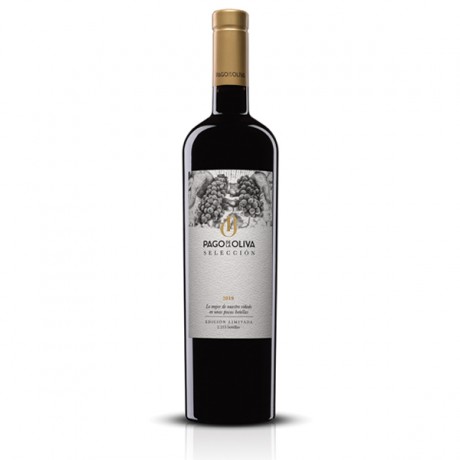 Selección 2019 Magnum (1ud)