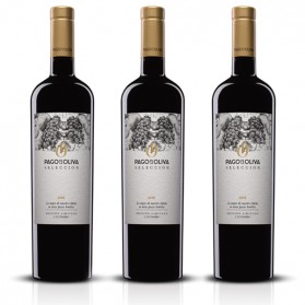 Selección 2019 (3ud)