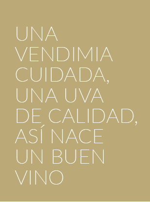 Una vendimia cuidada, una uva de calidad, así nace un buen vino